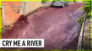 River of wine flows through Portuguese town after accident