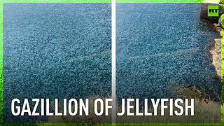 Black Sea coast crammed with thousands of jellyfish