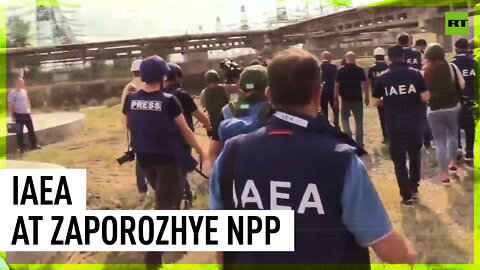 IAEA representatives inspect Zaporozhye nuclear power plant