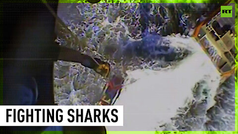 Fishermen fight sharks with their bare hands after boat sinks