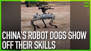 China’s robot dogs show off their skills