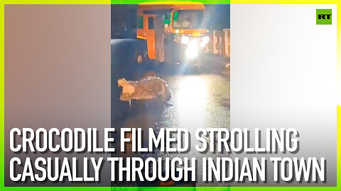 Crocodile filmed strolling casually through Indian town