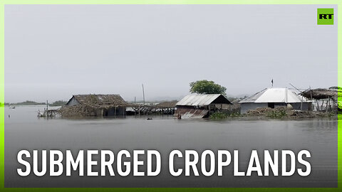 Severe flooding in Bangladesh devastates croplands