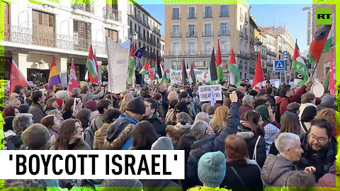 Pro-Palestine activists in Madrid call for peace in Gaza