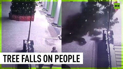 Christmas tree FALLS on passersby in Russia