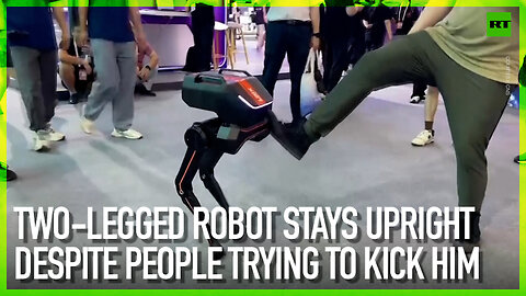 Two-legged robot stays upright despite people trying to kick him over