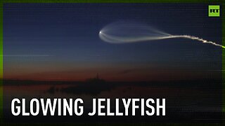 'Space jellyfish' soars across Russia's skies