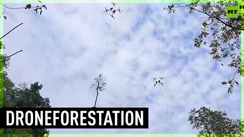 Drones planting new forests in Hubei, China
