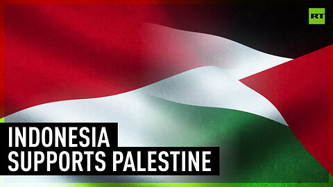 ‘Israel has never been interested in any peace process’ – Indonesia