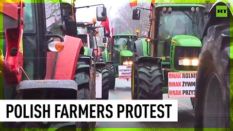 ‘We are made into losers’ | Polish farmers rally for changes in agricultural policy