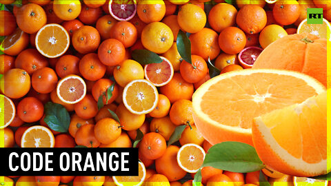 Citrus crisis: South African orange exporters outraged by new import rules