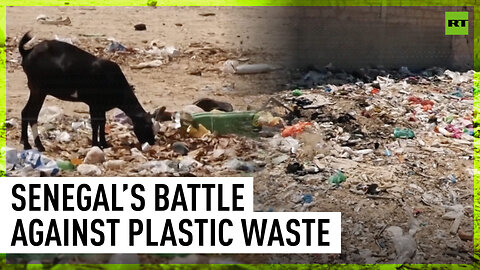 Senegal: battle against plastic pollution