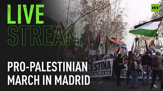 Protest in support of Palestinians held in Madrid