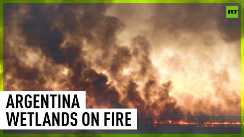 100,000 hectares of Argentina wetlands ravaged by fire