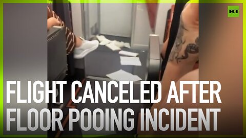 Flight canceled after floor pooing incident