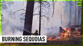 Yosemite wildfire threatens world’s largest sequoias
