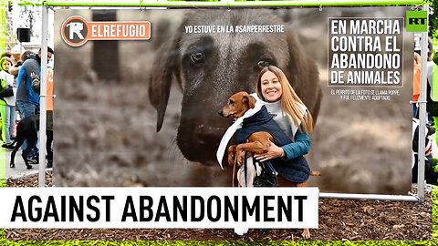 Dog owners rally in Madrid against animal abandonment