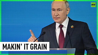 We will deliver grain to poorest African countries free of charge – Putin