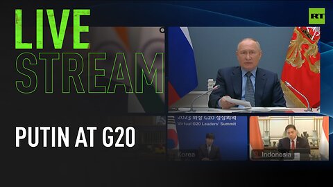Putin speaks at G20 summit