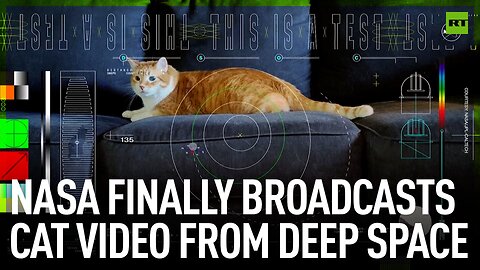 NASA finally broadcasts cat video from deep space
