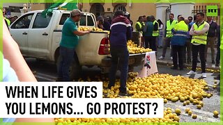 Farmers dump loads of lemons on road demanding support for Spanish agriculture