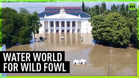 City of Novaya Kakhovka in Kherson flooded after dam destruction