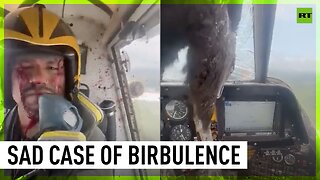 Pilot safely lands plane after huge bird crashes through windscreen