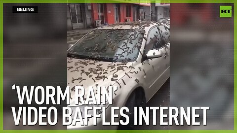 ‘Worm rain’ video baffles internet