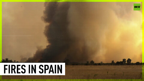 Wildfires burn over 6,000 hectares in Spain