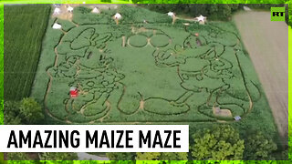 Farmers in Germany mark Disney’s 100th anniversary with a curious corn maze