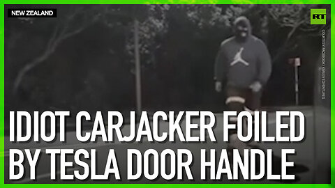 Idiot carjacker foiled by Tesla door handle