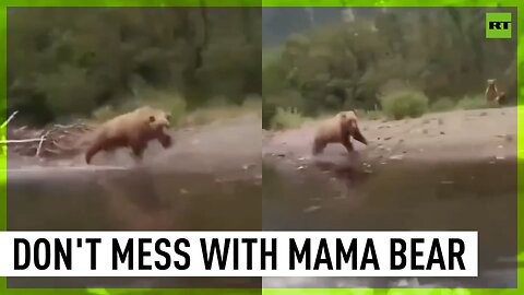 Furious bear chases tourist boat