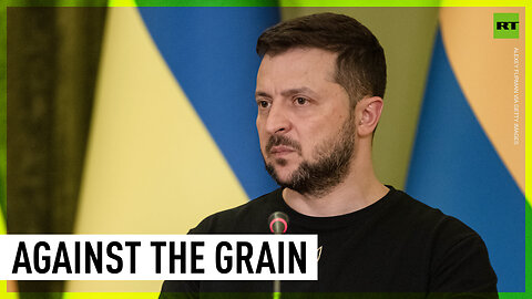 Zelensky threatens EU with legal action regarding grain ban