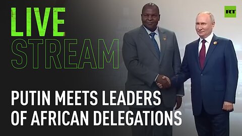 Putin meets leaders of African delegations in St Petersburg