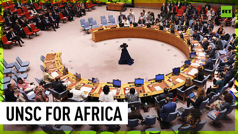 'Step forward' | African nations want permanent seat at UNSC