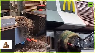 French farmers dump manure in McDonald’s