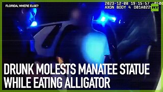 Drunk man molests manatee statue while eating alligator