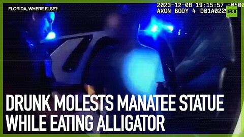 Drunk man molests manatee statue while eating alligator