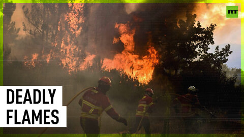 Rampant wildfires continue to rage in Portugal