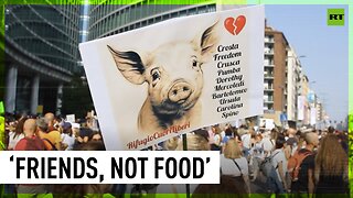 Italians rally against mass slaughter of pigs after ASF outbreak