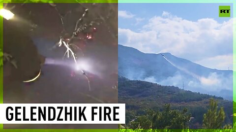 Forest fire rages in southern Russia