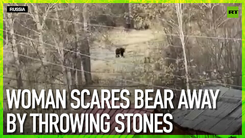 Woman scares bear away by throwing stones