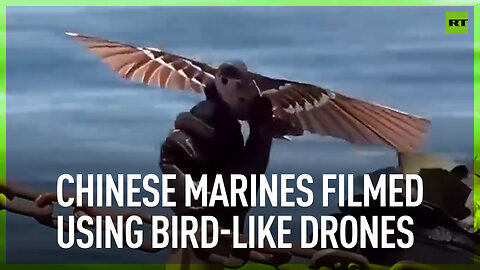 Chinese marines filmed using bird-like drones