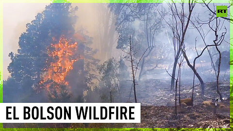 El Bolson wildfire rages on over 100 hectares of land in Argentina