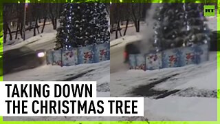 It's time to take down the Christmas tree, according to this particular Russian driver ¯\_(ツ)_/¯