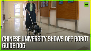 Chinese university shows off robot guide dog