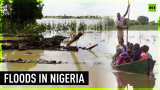 Devastating floods kill dozens in Nigeria