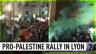 Pro-Palestine protesters rally in Lyon