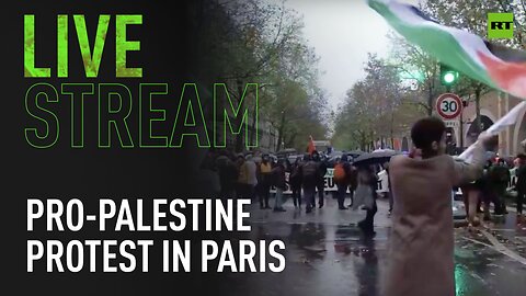 Pro-Palestine protest in Paris