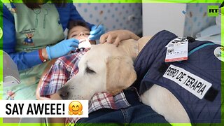 Good boi helps calm children at Ecuador dental clinic